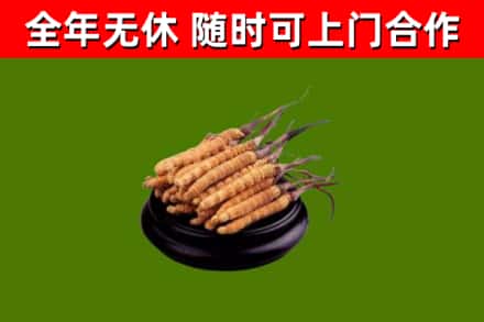 通化市烟酒回收冬虫夏草.jpg